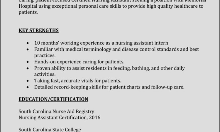 Sample Nursing Assistant Resume Entry Level