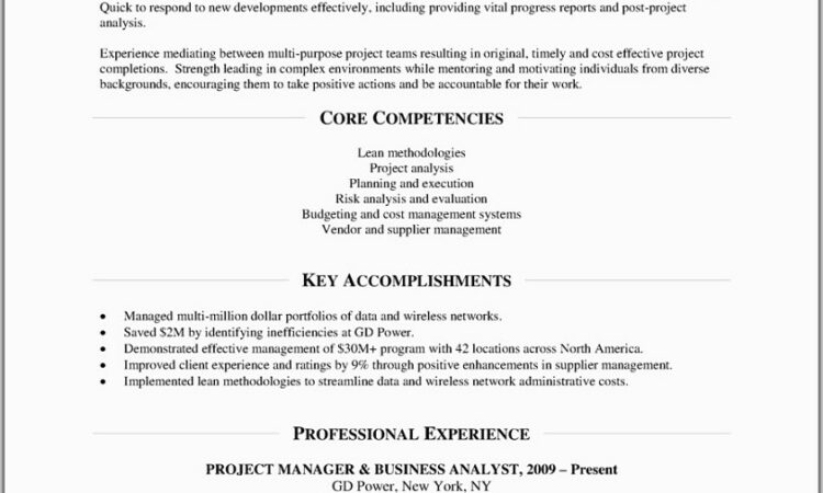 Sample Objectives For Resumes Project Management