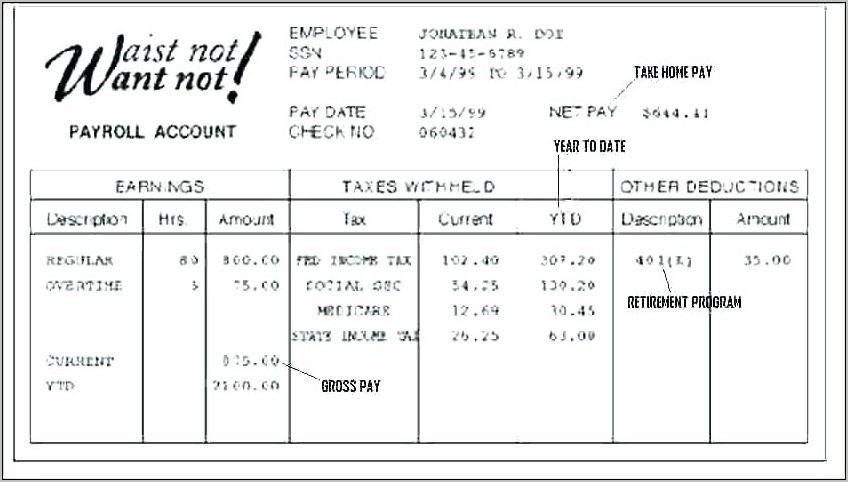 Sample Of Pay Stub Template Free