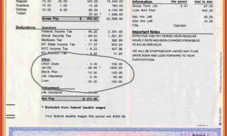 Sample Pay Stubs Canada