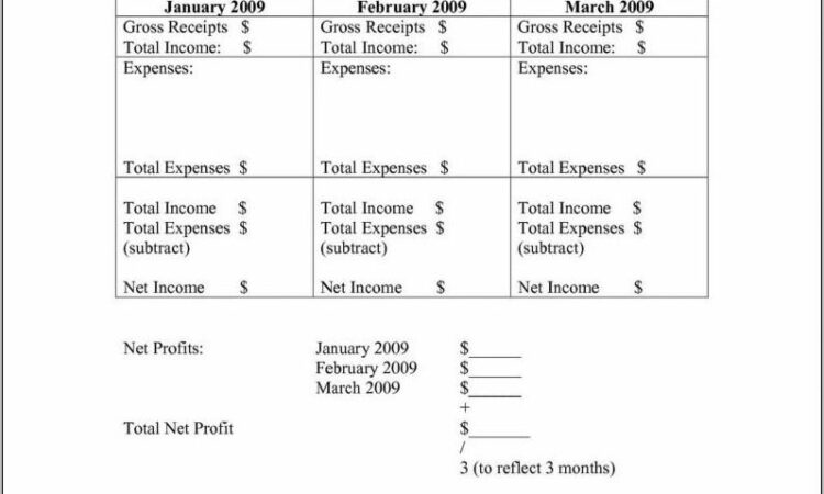 Sample Personal Profit And Loss Statement