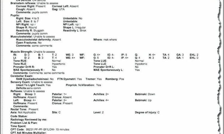 Sample Psychiatric Nursing Progress Note