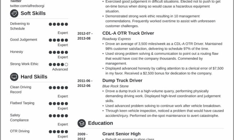 Sample Resume For Delivery Driver Position