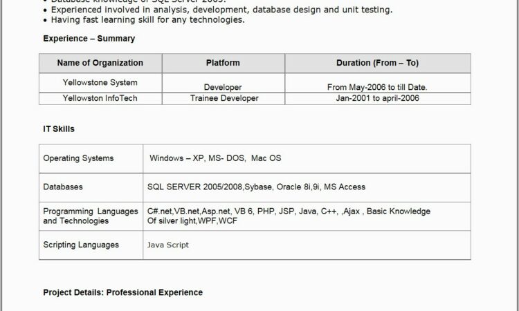 Sample Resume For Net Developer Fresher