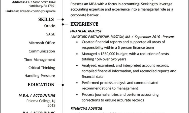 Sample Resume For Professional Accountant