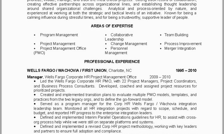 Sample Resume For Project Manager Position