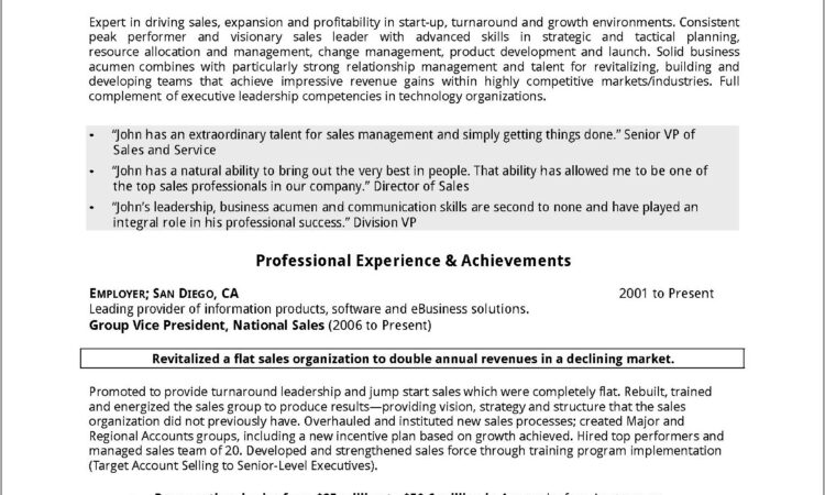 Sample Resume For Sales Executive Pdf