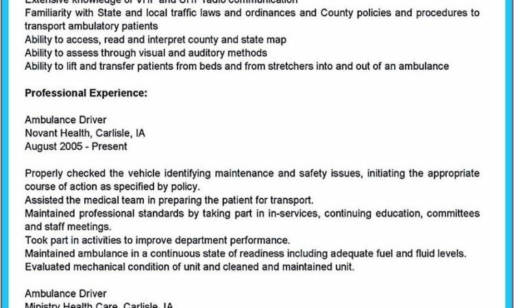 Sample Resume For School Bus Driver Position