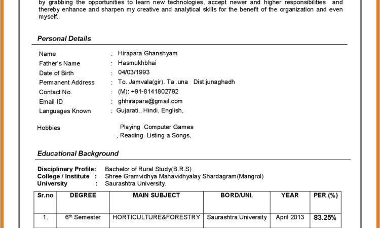 Sample Resume Format Doc Download