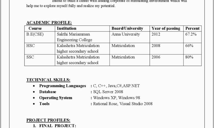 Sample Resume Format Doc File Download