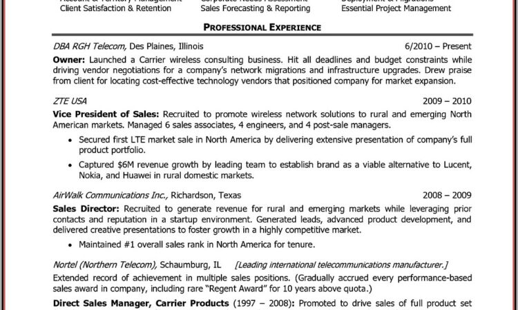 Sample Resume Format For Sales Executive