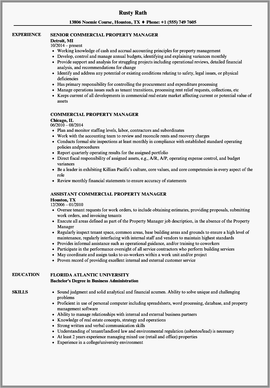 Samples Of Resumes For Project Managers