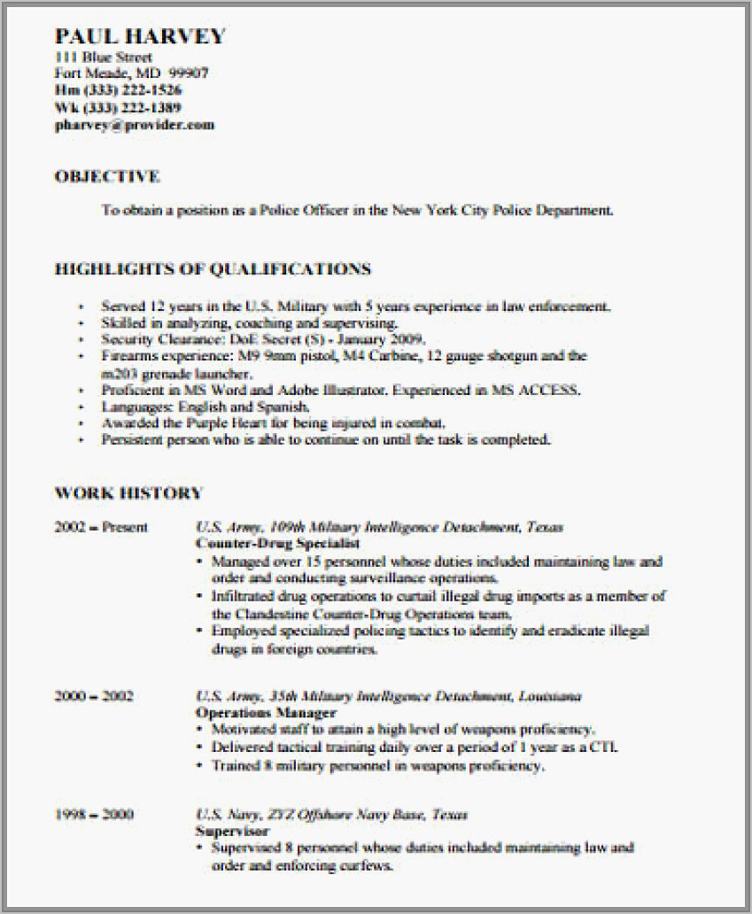 Security Officer Resume Word Format
