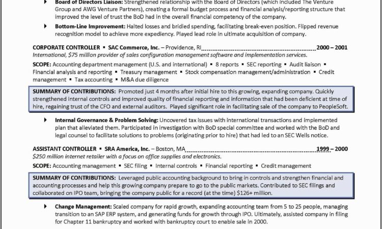 Senior Accounts Executive Resume Format