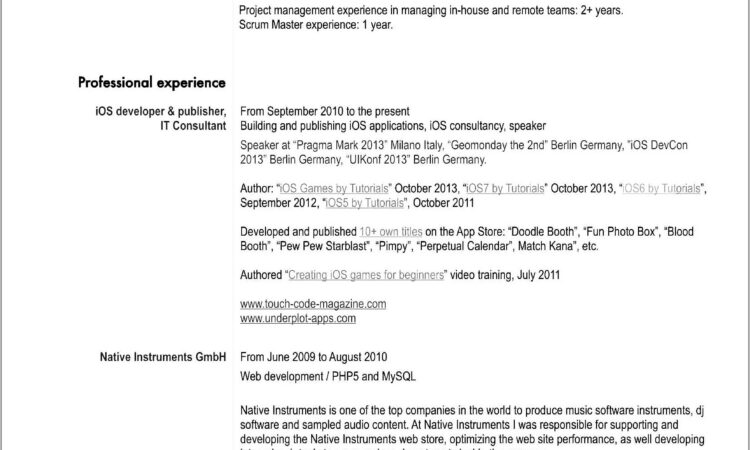 Senior Asp Net Mvc Developer Resume