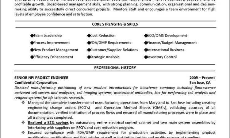 Senior Executive Resume Samples