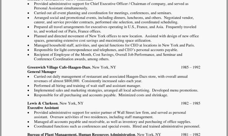 Senior Executive Resume Template