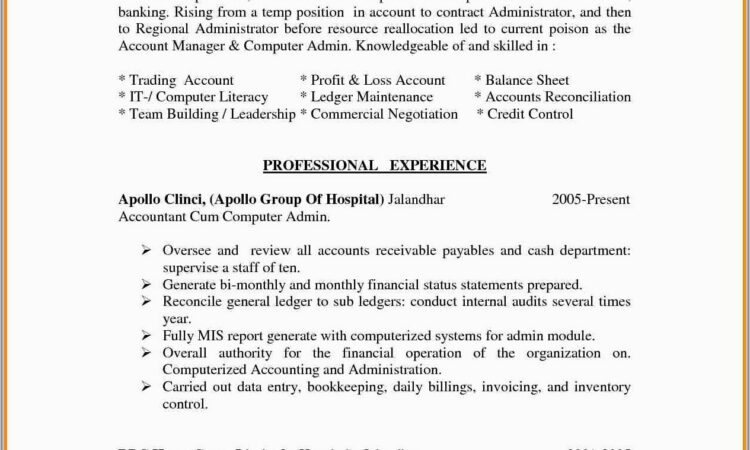 Senior Manager Cv Format