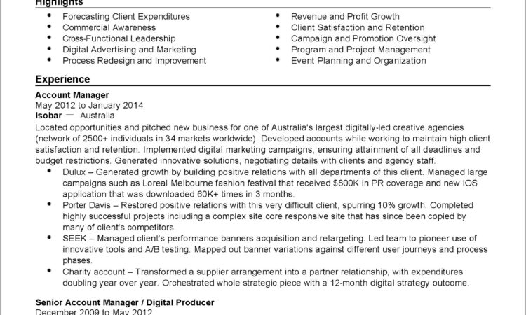 Senior Manager Resume Template Word