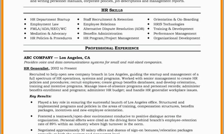 Senior Mis Executive Resume Format