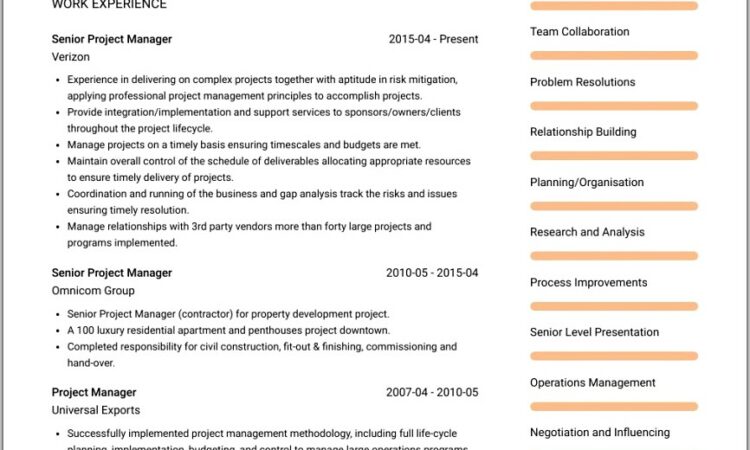 Senior Project Manager Cv Template