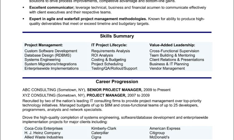 Senior Training Manager Resume Sample