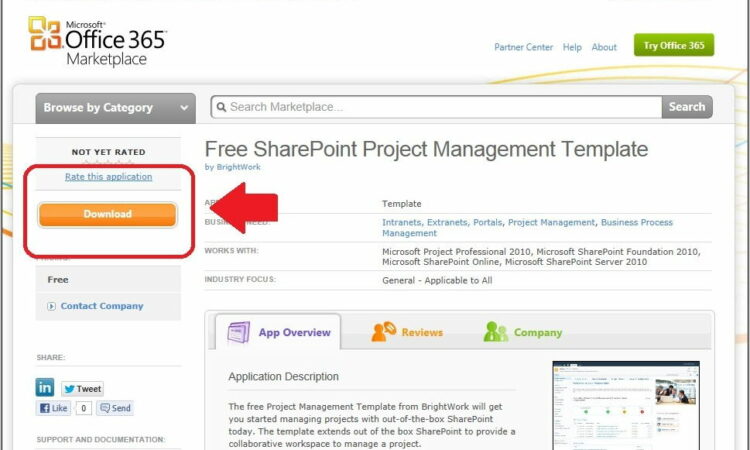 Sharepoint 2010 Project Template