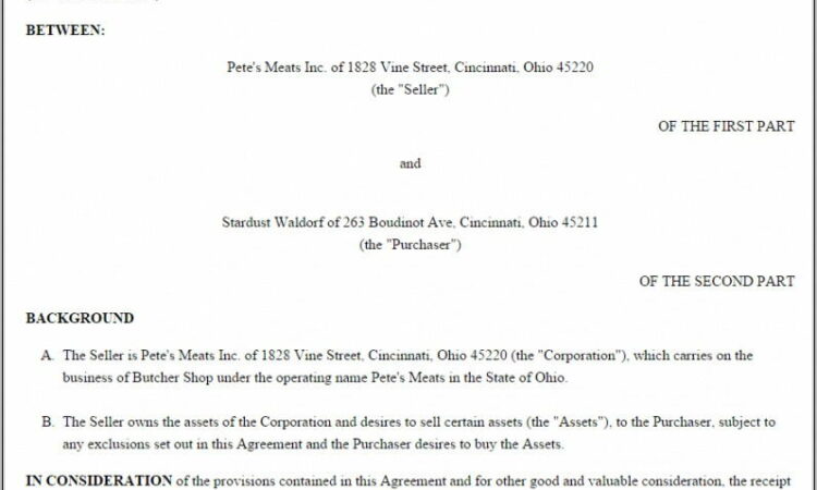 Shares Sale Purchase Agreement Template