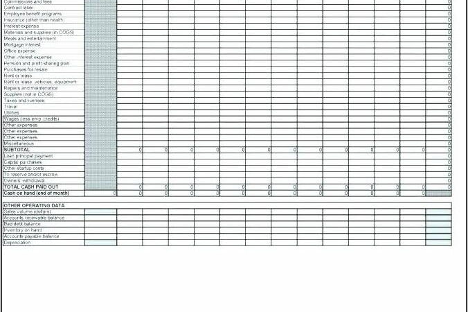 Simple 3 Year Cash Flow Projection Template