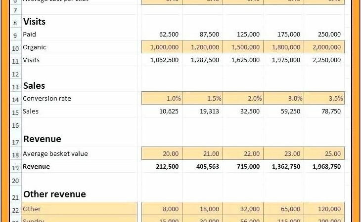 Simple 5 Year Financial Projection Template Xls