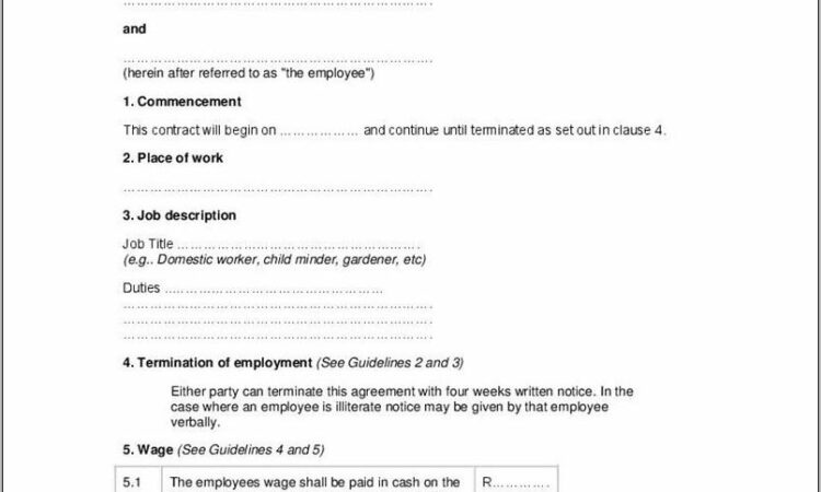 Simple Employment Contract Template South Africa