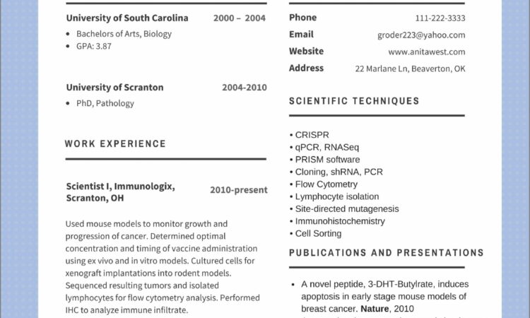 Simple Examples Of Curriculum Vitae