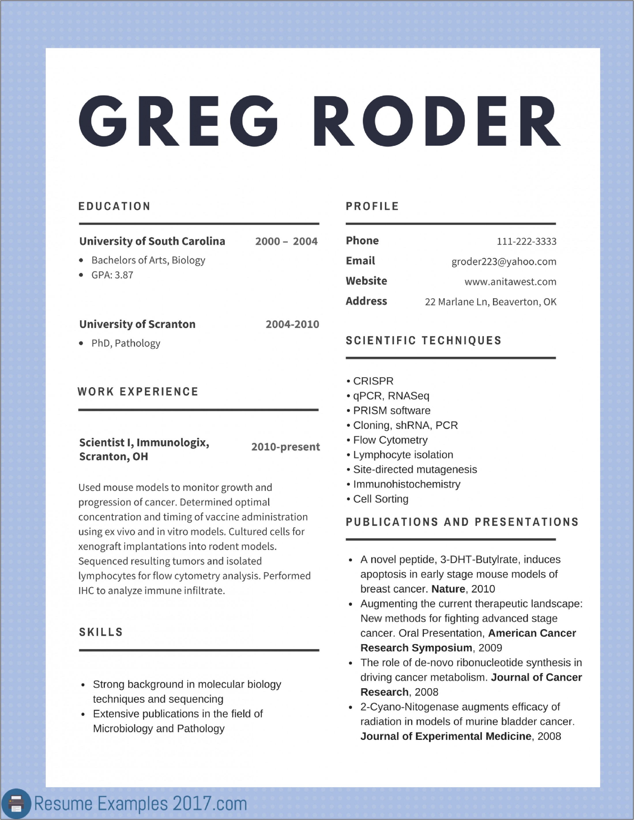 Simple Examples Of Curriculum Vitae