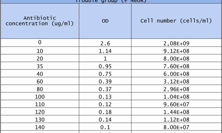 Simple Gantt Chart Template Free