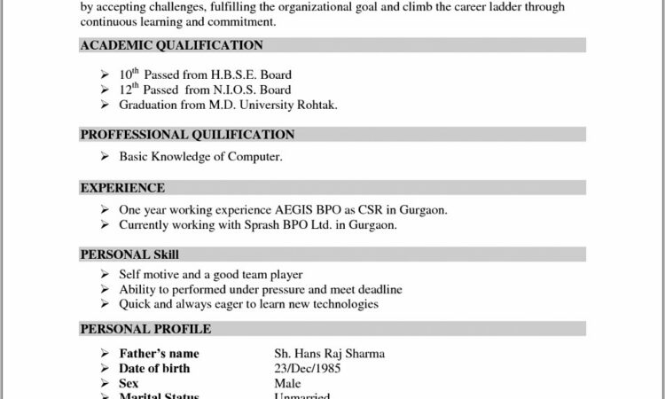 Simple Resume Format Pdf Download