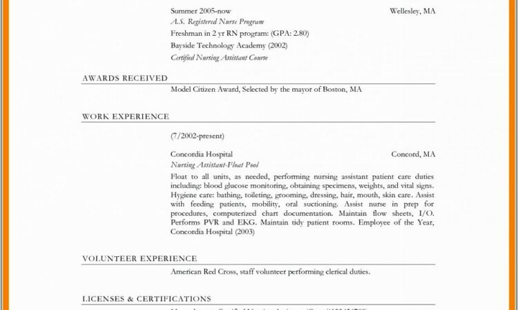 Simple Resume Format Word Free Download