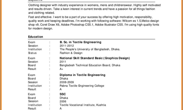 Standard Resume Format Free Download