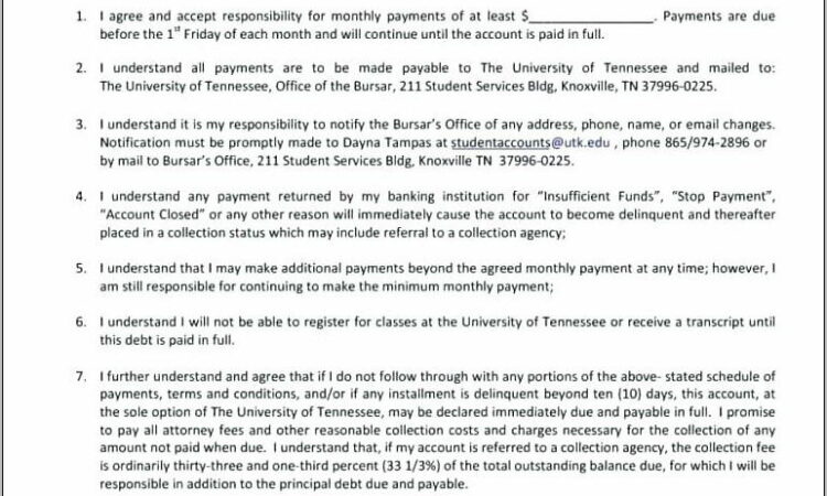 Take Over Car Payments Contract Template Pdf