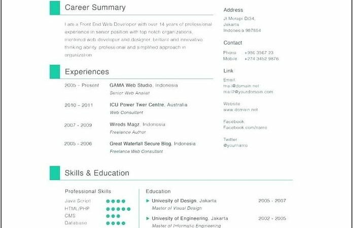 Teacher Curriculum Vitae Template Free