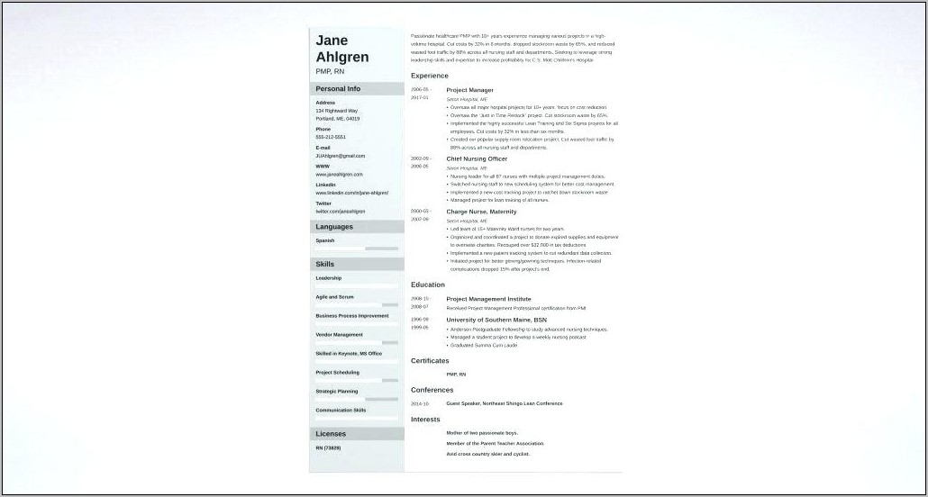 Technical Project Manager Resume Sample Download