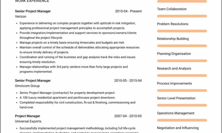 Telecom Project Manager Resume Sample Doc