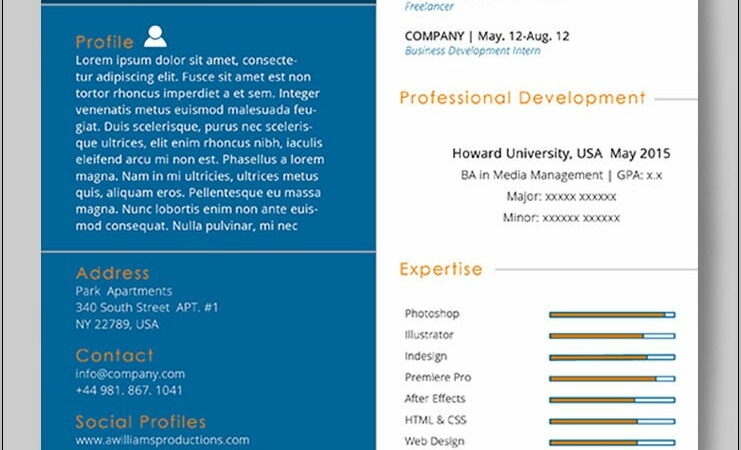 Template Curriculum Vitae Indesign