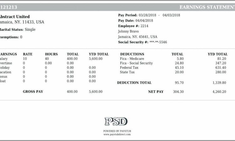 Template For Making Pay Stubs