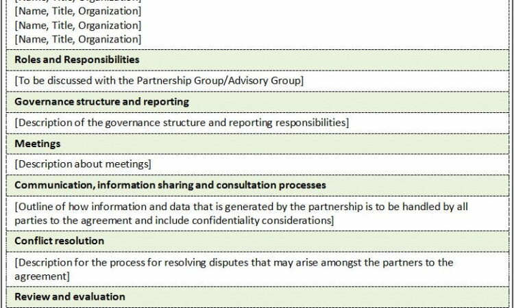 Template For Memorandum Of Understanding