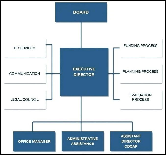 Template For Organization Chart In Word