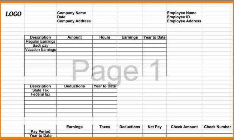 Template For Pay Stub Microsoft Word