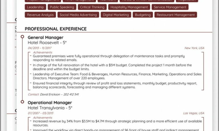 Template For Professional Curriculum Vitae