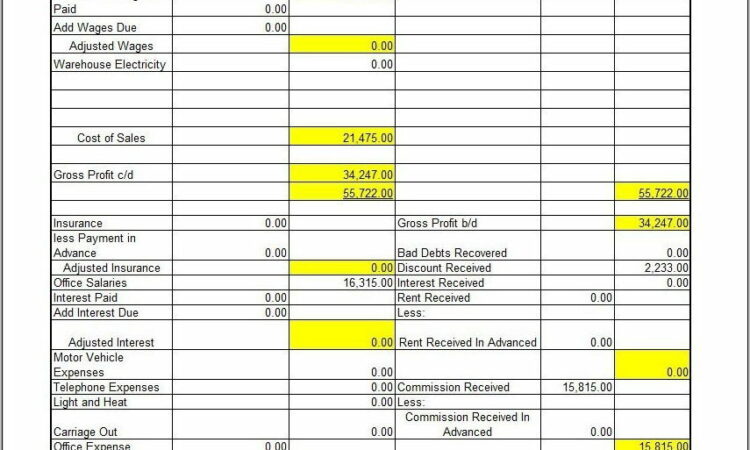 Template For Profit And Loss Statement