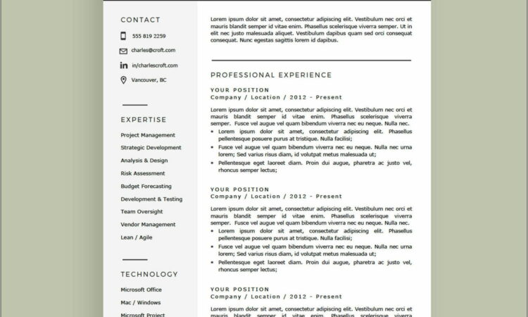 Template For Resume Microsoft Word