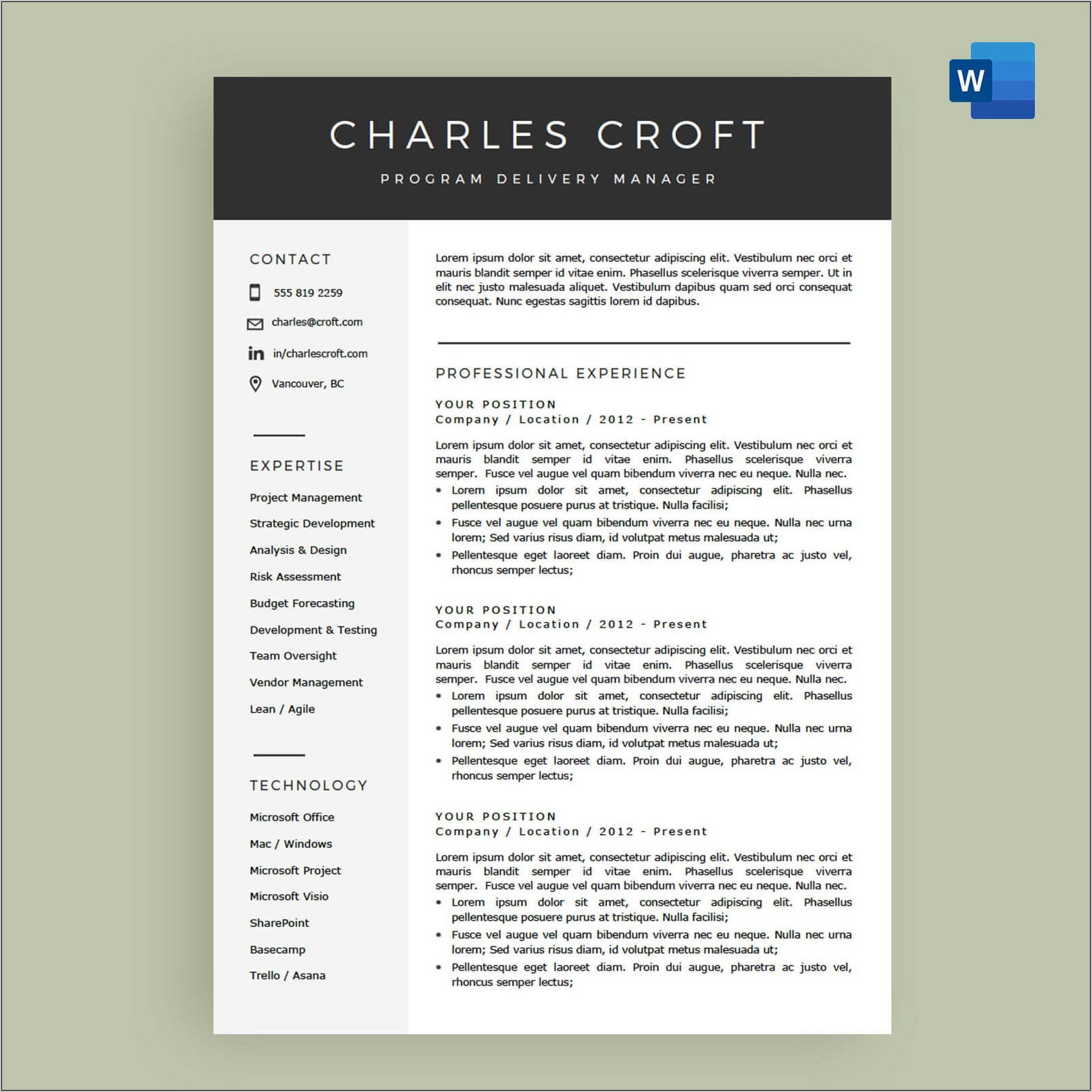 Template For Resume Microsoft Word